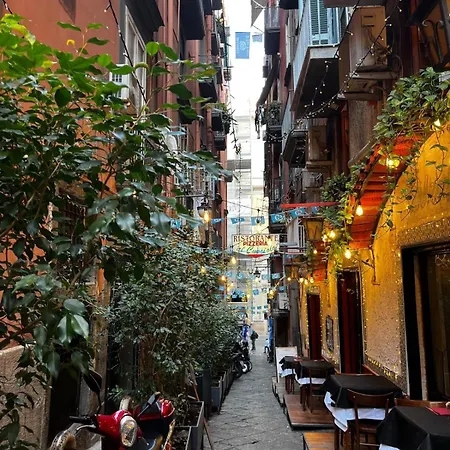 Luxury Flat Sant'anna Place *